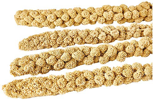 Padovan Panico in spiga - Alimento per Uccelli - Confezione da 250 gr