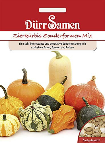 Dürr Samen 1111 Zierkürbis Sonderformen Mix (Zierkürbissamen)