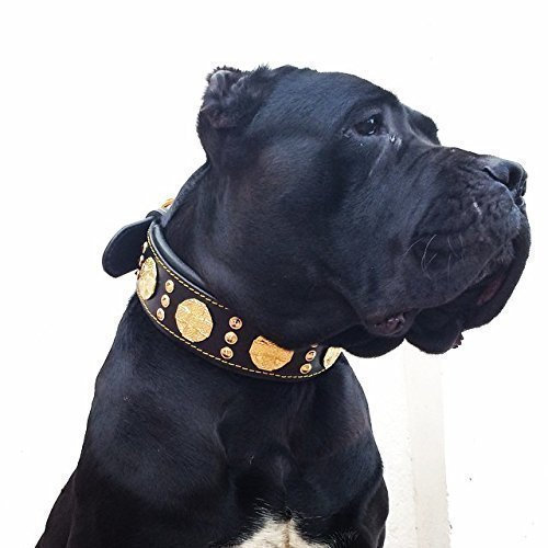 Bestia Maximus'' Echtleder Hundehalsband für große Hunde. 100% Leder. Weich Gepolstert