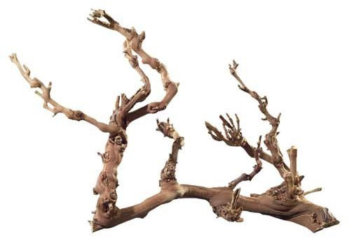 Hobby Terraristik Weinreben Wurzel Jumbo I ca. 50-70 cm I Sandgestrahlt