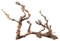 Hobby Terraristik Weinreben Wurzel Jumbo I ca. 50-70 cm I Sandgestrahlt