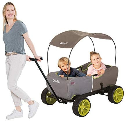 hauck Bollerwagen für 2 Kinder Eco Mobil ab 2 Jahren bis 50 kg, mit Sitzpolster & Dach, EVA Reifen, Feststellbremse, Abnehmbare Deichsel, Rutschfeste Griffe, Klappbar (Forest)