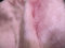 Uni amusant Faux Fourrure tissu matière Bébé Rose Floraison - Rose, 1Mtr - 150cmx100cm