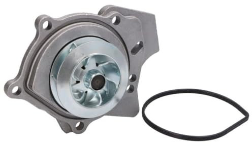 Hepu P657 Wasserpumpe