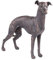 Große Hundskulptur, mit Bronze bemalt, aus Kunstharz, kann als Dekor verwendet werden, oder als eine Geschenkidee