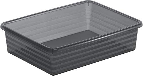 Rotho Linus Aufbewahrungsschale A5, Kunststoff (PP) BPA-frei, anthrazit, A5 (25,5 x 19,5 x 6,0 cm)