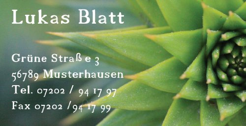 Visitenkarten Green mit Ihrer kompletten Adresse, 54 Stück, ca. 88 x 45 mm