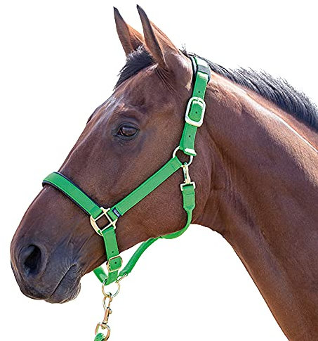 Shires Topaz Pferdehalfter Nylon, Schwarz Pony grün