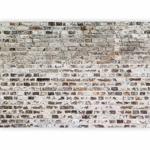 Fotomurales B&D XXL - Efecto Piedras optica Muro 300x210 cm XXL Papel pintado tejido no tejido Decoración de Pared decorativos Murales moderna de Diseno Fotográfico Piedras optica Muro f-A-0411-a-b