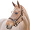 HORZE Holbrook Halfter, Braun, XF