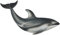 CollectA Pacific White Side Delphin