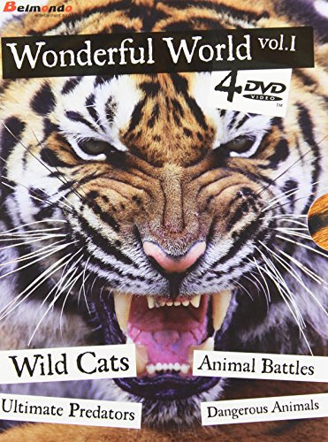 Wonderful World // Vol. 1 / 4 Dvd