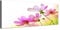 Augenblicke Wandbilder Keilrahmenbild Wandbild 150x50cm Floral Blumen Blüten