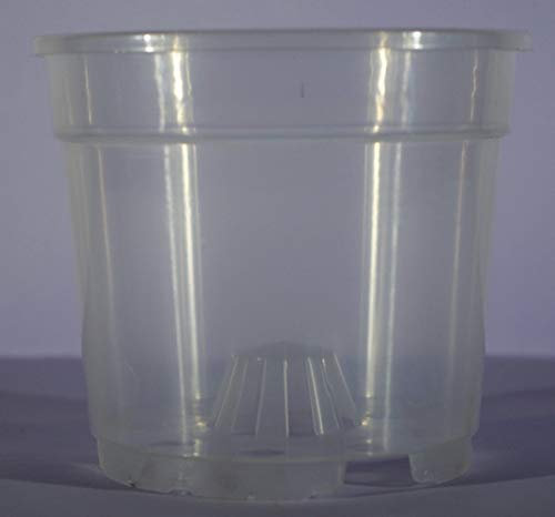 VASO TRASPARENTE IN PLASTICA IDEALE PER LE ORCHIDEE IN CONFEZIONE DA 6 PEZZI (21 Centimetri, 19 Centimetri)
