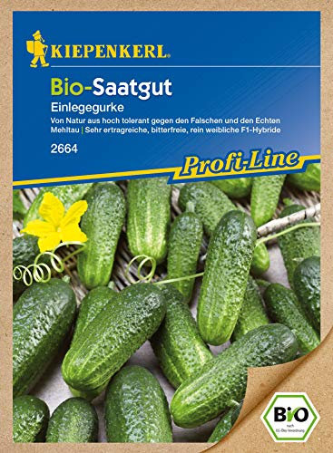 Gurkensamen Bio-Gurken Diamant F1 von Kiepenkerl