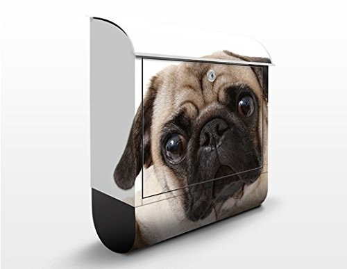 Briefkasten mit Zeitungsrolle Mops 46cm x 39cm
