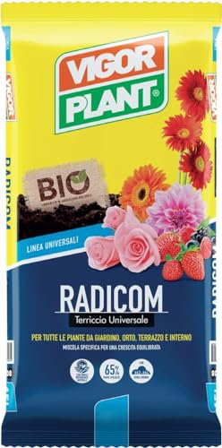 VIGORPLANT