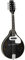 Electro Mandolina Teardrop F Hold Black Gloss: Mandolina