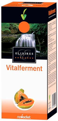FERMENTIERTE PAPAYA VITALFERMENT 250 ML