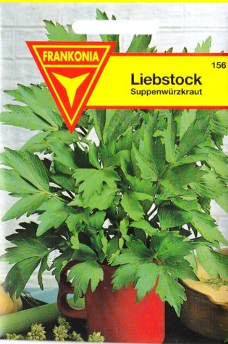 Livret de soupe épicée Levisticum officinale - Environ 50 graines