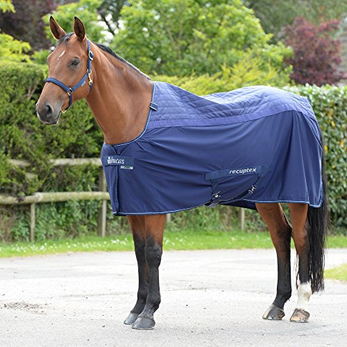 Bucas Recuptex Therapy Rücken Navy/Silber - 115