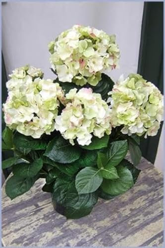 Licht & Grün exclusive Kunstpflanzen Künstliche Grünpflanze HortensieTop-Qualität