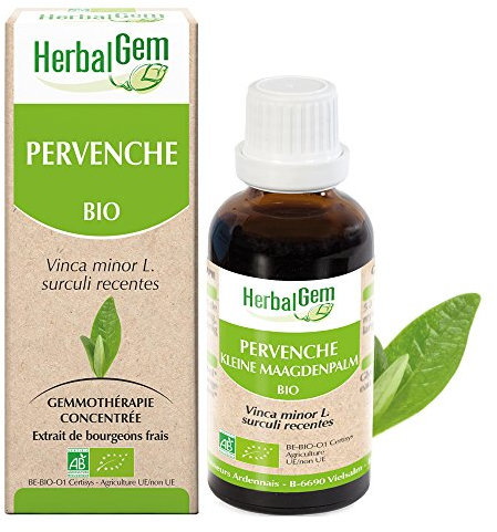 HERBALGEM - Macérât-Mère - Pervenche Bio - Complément Alimentaire Gemmothérapie Concentrée - Extrait De Bourgeon Frais - Pour Mémoire & Concentration - Vegan - 30 ml