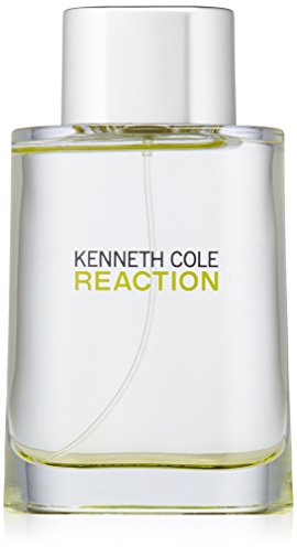 Kenneth Cole Reaction for Men 100ml EDT Spray