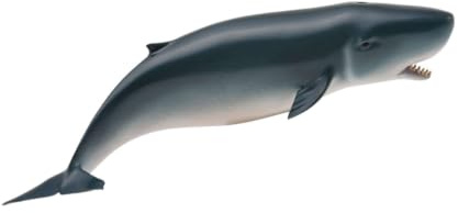 Collecta - Pygmeo Cachalotte - Sammelfigur - Größe M - (Deqube 90188653)
