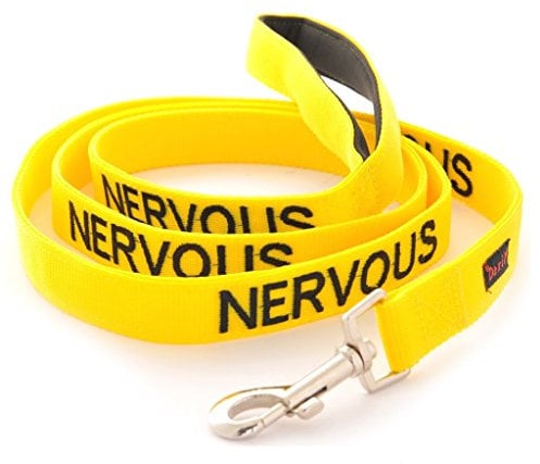 NERVOUS (Give Me Space) Yellow Colour Coded 60cm 1.2m 1.8m Luxury Neoprene Padded Handle Dog Leads PREVENTS Accidents By Warning Others Of Your Dog In Advance (1.2m)