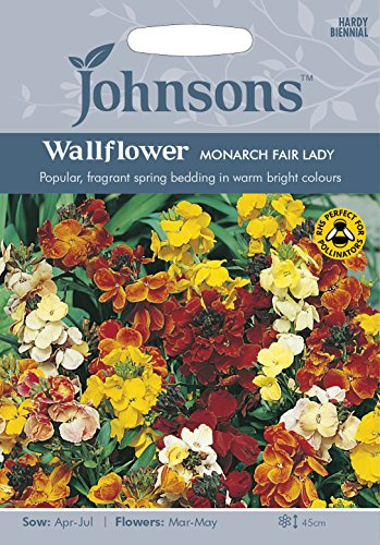 Johnsons 13620 Flower Seeds, WallFlower Monarch Fair Lady, Mixed