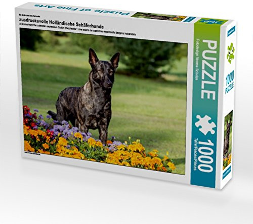 CALVENDO Puzzle EIN Motiv aus dem Kalender ausdrucksvolle Holländische Schäferhunde | 1000 Teile Lege-Größe 64 x 48 cm Foto-Puzzle für glückliche Stunden