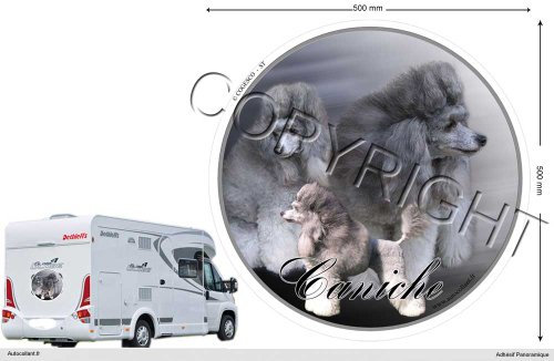 Circular Aufkleber Hund 50 Cm Pudel