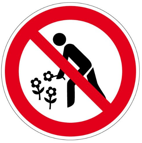Verbotsschild Blumenpflücken verboten aus Kunststoff - in verschiedenen Größen erhältlich