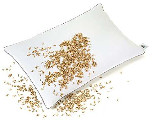 NATURECA Oreiller Epeautre Bio, Oreiller Ferme de taie Oreiller Ergonomique Coton, Oreillers 40x60 pour la Nuque, Oreiller orthopédique Anti Douleur vannure d’épeautre, décontracter Les Muscles