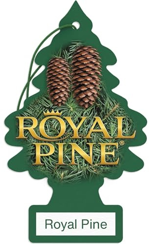 LITTLE TREES Car Air Freshener | Hanging Paper Tree for Home or Car | Royal Pine | 6 Pack
