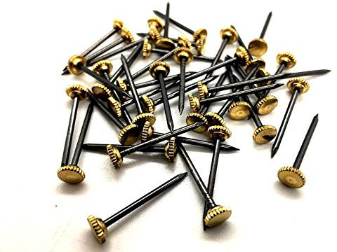6 x brass picture nails 25mm photo hanging pins