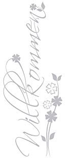 GRAZDesign Glastür Aufkleber Flur Eingang Willkommen Spruch, Fensteraufkleber Glas, Fenster Fenstertattoo - 150x57cm / Silbergrau