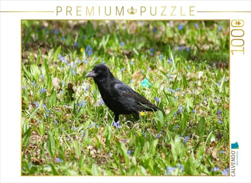 CALVENDO Puzzle Rabe auf der Blumenwiese | 1000 Teile Lege-Größe 64 x 48 cm Foto-Puzzle für glückliche Stunden