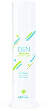 RECORD * DENTIFRICIO 100ml. 10047