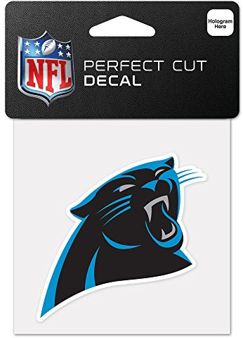 WinCraft NFL Unisex-Adult,Unisex-Children Standard