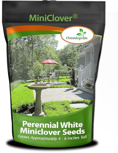 Outsidepride Perennial White MiniClover Seed - 1 lb. Dwarf, Small-Leaved, Drought & Wear-Tolerant Micro Clover Seeds for Lawn, Ideal Low-Maintenance & Easy to Grow Ground Cover Seeds for Home Yard