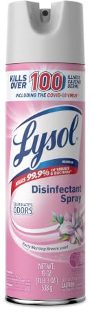 Disinfectant Spray, Early Morning Breeze Scent, 19 oz Aerosol | Multi-Surface Disinfecting & Sanitizing Antibacterial Room Spray, Deodorizer Spray, Home & Bathroom Cleaning Supplies