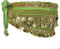 BellyLady Bauchtanz Rock Wickel Hüfttuch Multi Row Goldmünzen Grün