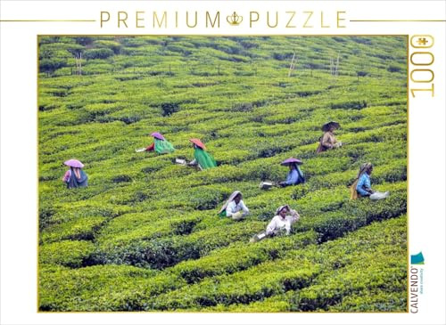 CALVENDO Puzzle Teeplantage, Kerala | 1000 Teile Lege-Größe 64 x 48 cm Foto-Puzzle für glückliche Stunden