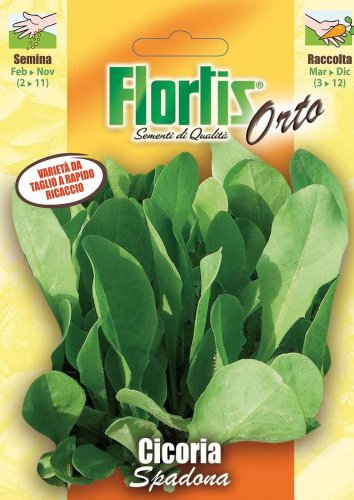 Flortis 4355150 Blattzichorie Spadona (Blattzichoriensamen)