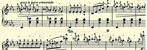 Ursus TRANSP. 115G. DIN A4, 5BL. NOTEN CHAMOIS/SCHWARZ