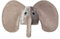 Boland 99949 - Hut Elefant für Erwachsene, mit grauen Ohren und Rüssel, Karneval, Mottoparty