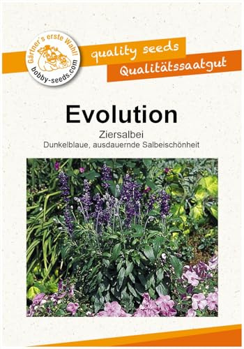 Blumensamen Evolution Salbei Portion