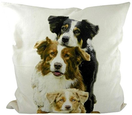 Mars & More - Kissen - Zierkissen - Border Collies - 100% Baumwolle 50 x 50 cm